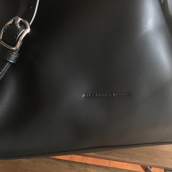 Alexander wang backpack - Picture 2 of 3